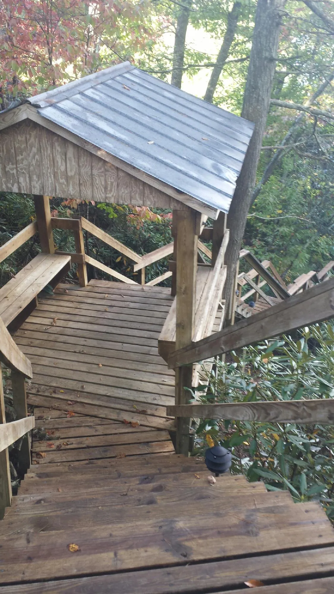 Metal roofed shelter over wooden steps on a wooded walkway — Skylight Repair & Installation work by our crew in Rosalia